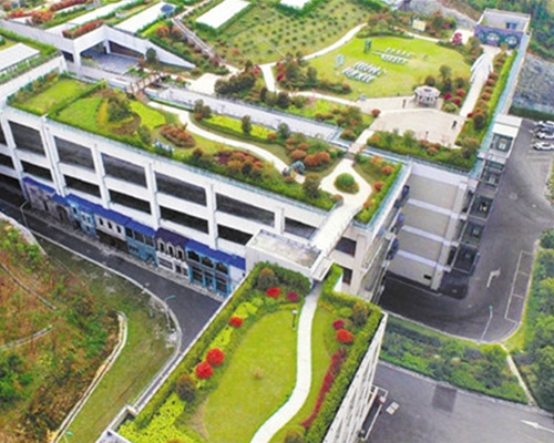 夏天應該怎樣養(yǎng)護植物墻？